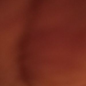 Meet your Posher, Rose